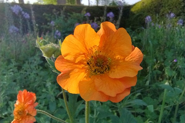 IMG_20240504_190547049_HDR (002) Geum24.jpg