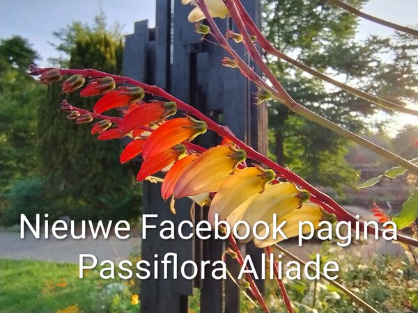 IMG_20250809_072301265_HDR~2 (002) Nieuwe Facebook pagina.jpg