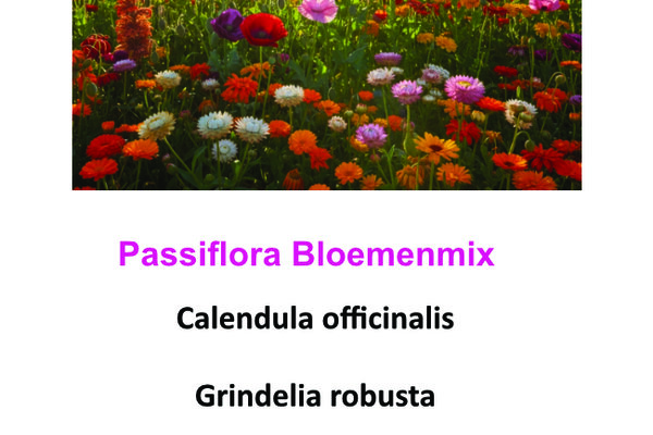 Passiflora bloemenmix.jpg