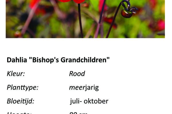 Dahlia Bishop's Grandchildren.jpg