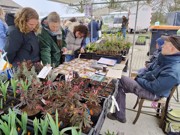 IMG_20260321_114321737_HDR Op Maarhuizen.jpg